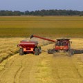 1,4 milijarde evra za agrar, a rezultata nema- gde greši Srbija