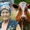 Baka Stana izgubila najboljeg prijatelja i izvor prihoda: Krava joj je bila sve, a onda se dogodila tragedija