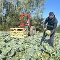 Obrađuje više hektara zemlje nego što ima godina: On je jedan od najmlađih poljoprivrednika u Srbiji FOTO