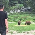 Milan Vasić oči u oči sa medvedima! Glumac objavio snimak koji ledi krv u žilama "Ne treba se igrati sa njima"