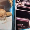 Ukradena relikvija iz crkve u Češkoj: Muškarac odneo lobanju svetiteljke staru osam vekova