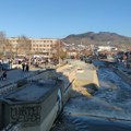Novi Pazar:U utorak zaprašivanje komaraca