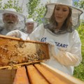 Med je lek, a ne samo hrana: Kompanija Mozzart nastavlja da čuva prirodno blago Vlasine