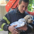 Vatrogasci iz požara spasli kuče: Vatra na Dorćolu ugašena, ostale samo dežurne ekipe
