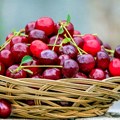 Ovo niko ne može da priušti! Kilo trešanja u Španiji kao 2 dnevnice u Srbiji, a ovo su cene u svetu