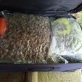 Pronađeno mu više od 8 kilograma kanabisa "Pao" diler u Kruševcu, pretresom pronađen i kokain! (foto)