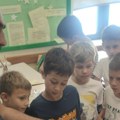 U OŠ “SVETI SAVA” OBELEŽEN SVETSKI DAN ČIŠĆENJA: Društvo Stara Planina organizovalo radionicu o reciklaži i ponovnoj upotrebi…