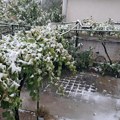 Kiša prešla u sneg: Zabelelo se i u Vranju (video)
