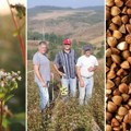 Raste proizvodnja sve popularnije pseudožitarice u Srbiji: Heljda s naših polja dobra za hleb, pecivo, gibanicu, pitu