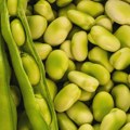 Zaboravljena namirnica čini čuda za organizam: Sadrži obilje vitamina i jedno vrlo važno jedinjenje