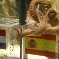 Da li se sećate čuvene hobotnice, predviđala je rezultate na SP i pogodila sve, sada je menja ova životinja