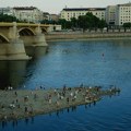 Mađar: Vodostaj Dunava kod nuklearke Pakš od nedelje porastao za 13 centimetara
