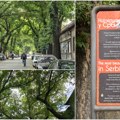 (Foto, video) Zeleni tunel kroz koji je milina proći – Ulica generala Drapšina (Kikinda)