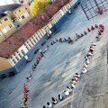 Učenica sedmog razreda OŠ „Radoje Domanović” osvojila prvo mesto na foto-konkursu