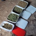 Leskovčanin u kanti skrivao skoro pola kilograma marihuane