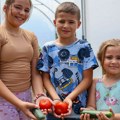 Gujon: Završili smo podelu 154 stočna grla i 75 plastenika vrednim porodicama na Kosovu i Metohiji