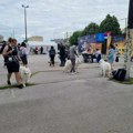 Druženje sa psima na gradskom trgu, ko udomi psa dobija sezonsku kartu za utakmice na stadionu