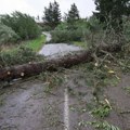 Ветар обарао камионе и чупао стабла: Разорна олуја захватила овај део света