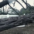 (Video) Orkanska oluja pogodila Francusku, izdato crveno upozorenje. Bez struje ostalo 50.000 domaćinstava, udari vetra do 170…