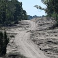 Na Stolovima i dalje gori, u Deliblatskoj peščari noćas gašena manja žarišta