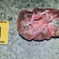 Krio drogu u dvorištu Filozofskog fakulteta