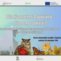 Eko Istok: Šta smo otkrili tokom mapiranja biodiverziteta Zaječara?