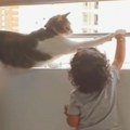 Mačka i beba najbolji drugari Evo kakve ludorije prave kad roditelji ne gledaju, hit snimak će vam ulepšati dan!