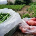 Održana rasprava o zakonu o organskoj proizvodnji sa ciljem njenog unapređenja