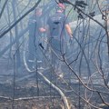 Požari haraju okolinom Kragujevca: Vatrogasci na terenu bez predaha, apel građanima da ne pale vatru na otvorenom