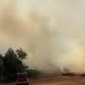 (Video) Gore njive, gusti dim prekrio sve: Dramatični prizori kod Kule: Vatrogasci na terenu