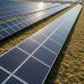 Knjaževačke: Tresibaba dobija najveći solarni park u Srbiji, Kinezi ulažu 200 miliona evra
