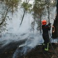 Veliki šumski požar u blizini Pariza, dve osobe uhapšene zbog sumnje da su ga podmetnule