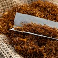 Slovenija otkrila jednu od najvećih ilegalnih fabrika cigareta u Evropi: radnici držani kao zatočenici