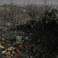 Uslovna kazna za Nemca koji je izazvao požar na Rodosu