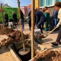 Ulicu Generala Milojka Lešjanina u Nišu – od danas krase 62 sadnice drveća