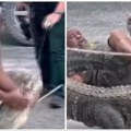 Čovek prsa u prsa sa predatorom Muškarac uhvatio aligatora - u trenu je usledio preokret! (video)