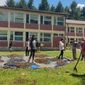 U školi u Velikom Izvoru realizovana aktivnost „Planeta cveća“