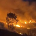 Veliki požar u Ljubiću: Gore trava i nisko rastinje, vatra se brzo širi (video)