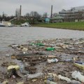 Ekološki ustanak: Nadležne službe da obaveste Beograđane šta se desilo u Čukaričkom rukavcu
