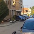 Uznemirujući snimak iz Leskovca! Najsmrdljivija od svih! Građani je videli na krovu auta, odmah pozvali upomoć