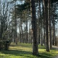Veliki i Mali park u Čačku dobijaju nov naziv: Jedan po slavnoj glumici, drugi po tragično nastradaloj devojčici