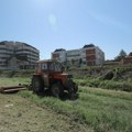 U toku košenje i uređenje zelenih površina