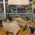 EU paviljon u znaku održivosti, inovacija i mladih u poljoprivredi