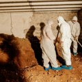 "Tunel" stigao na naplatu: Prva odšteta za neosnovano hapšenje zbog kopanja prolaza do depoa Višeg suda u Podgorici (foto)