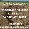 Zoo Planetu nedostaje još 9.285 evra za otplatu duga. Udruženje moli za pomoć.