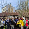 Učenici Gimnazije “Bora Stanković” posadili tri stabla belog jablana