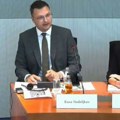Raša Nedeljkov u Bundestagu: Srbi se predstavljaju kao žrtve, Kosovo im je ispred evropske budućnosti