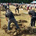 Kad grobari odmere snage: Kopaju za medalju, a žiri je ocenjivao i ove detalje