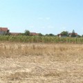 Zbog suše poljoprivrednici Srbije od države očekuju pomoć