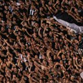 Čas ljubavi u humskoj! Grobari horski otpevali čuvenu pesmu Partizanovim bebama - nema ko se nije naježio